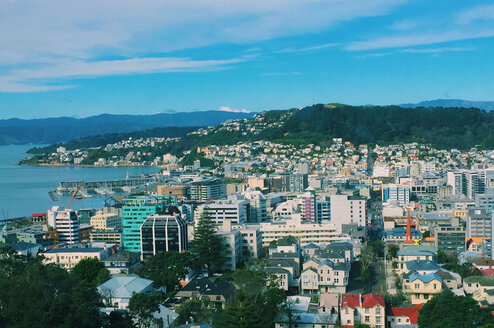 TEAN: Wellington, New Zealand